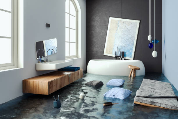 Best Water damage cleanup near me  in Evansville, WY