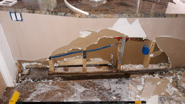 Best Basement water damage restoration  in Evansville, WY