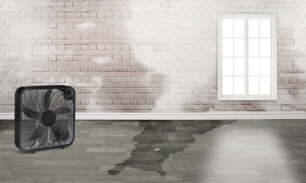 Best Local water damage restoration  in Evansville, WY
