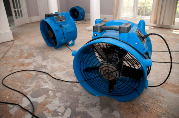 Best Professional water damage repair  in Evansville, WY
