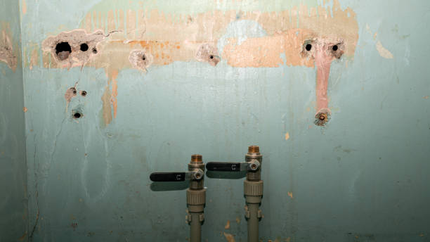 Best Water damage restoration near me  in Evansville, WY