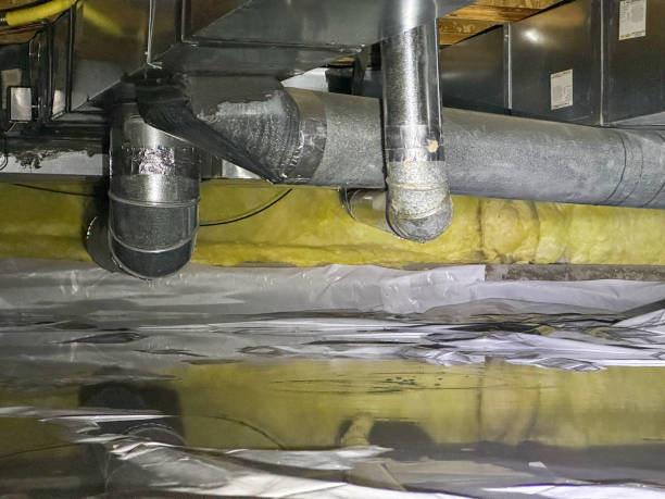 Best Carpet water damage restoration  in Evansville, WY