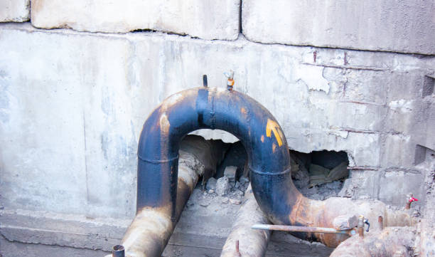 Best Mold removal after water damage  in Evansville, WY