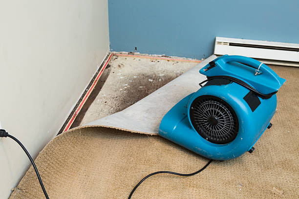 Best Sewage cleanup and water damage restoration  in Evansville, WY